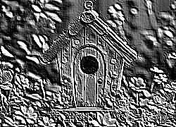Skamielina