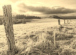 Szary + Sepia