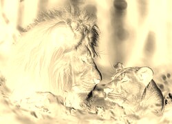 Sepia + Negatyw