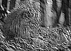 Skamielina