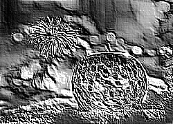 Skamielina