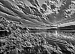 Skamielina