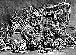 Skamielina
