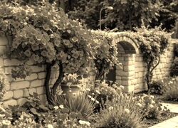 Szary + Sepia