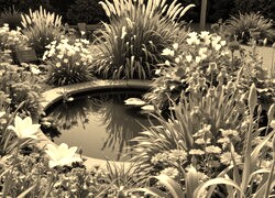 Szary + Sepia