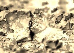 Sepia + Negatyw