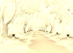 Sepia + Negatyw