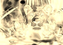 Sepia + Negatyw