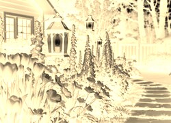 Sepia + Negatyw