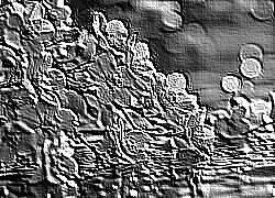 Skamielina