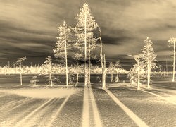 Sepia + Negatyw