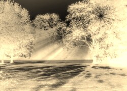 Sepia + Negatyw