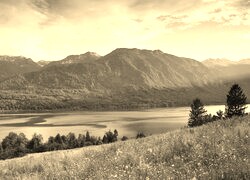 Szary + Sepia