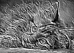 Skamielina