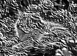 Skamielina