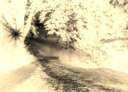 Sepia + Negatyw