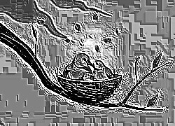 Skamielina