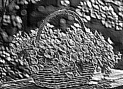 Skamielina