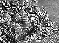 Skamielina