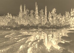 Sepia + Negatyw