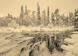 Szary + Sepia