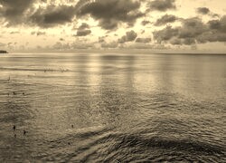 Szary + Sepia