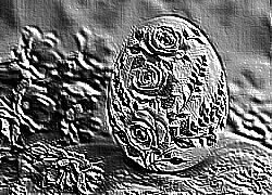 Skamielina