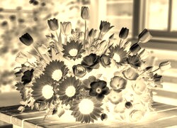 Sepia + Negatyw