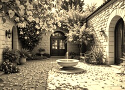 Szary + Sepia