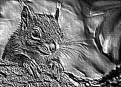 Skamielina