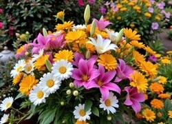Oryginalny obrazek