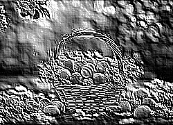 Skamielina