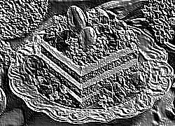 Skamielina