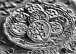 Skamielina