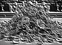 Skamielina