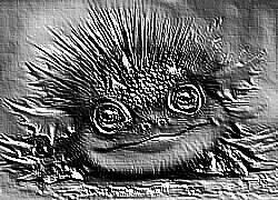 Skamielina