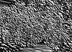 Skamielina