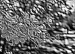 Skamielina