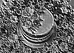 Skamielina