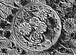 Skamielina