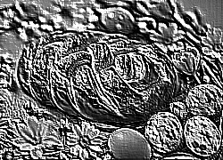 Skamielina