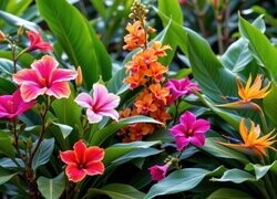 Oryginalny obrazek