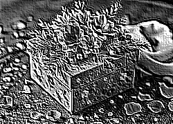 Skamielina
