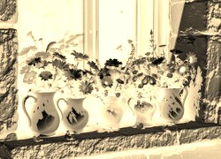 Sepia + Negatyw