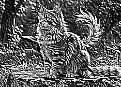 Skamielina