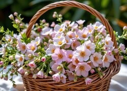 Oryginalny obrazek