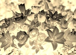 Sepia + Negatyw