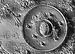 Skamielina
