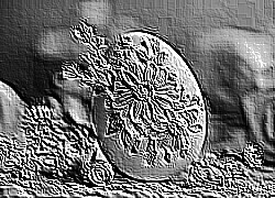 Skamielina