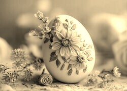 Szary + Sepia